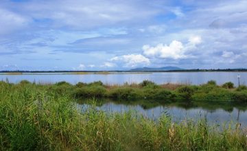 Orbetello_-_Dettaglio_laguna_2