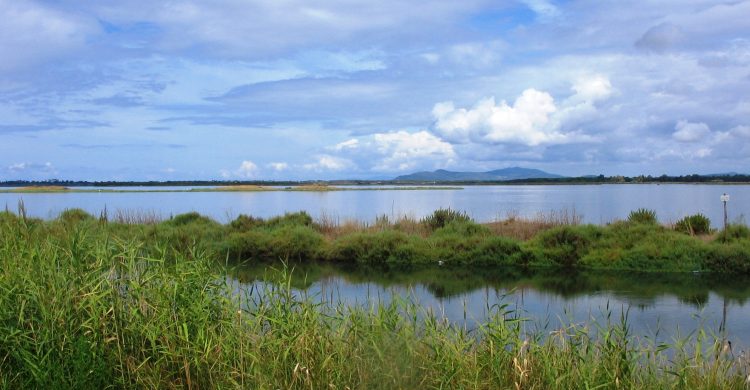 Orbetello_-_Dettaglio_laguna_2