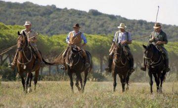 I butteri della Maremma